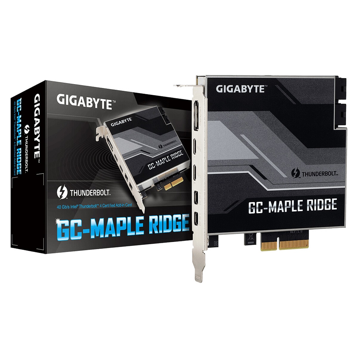Gigabyte GC-MAPLE RIDGE - Image 1