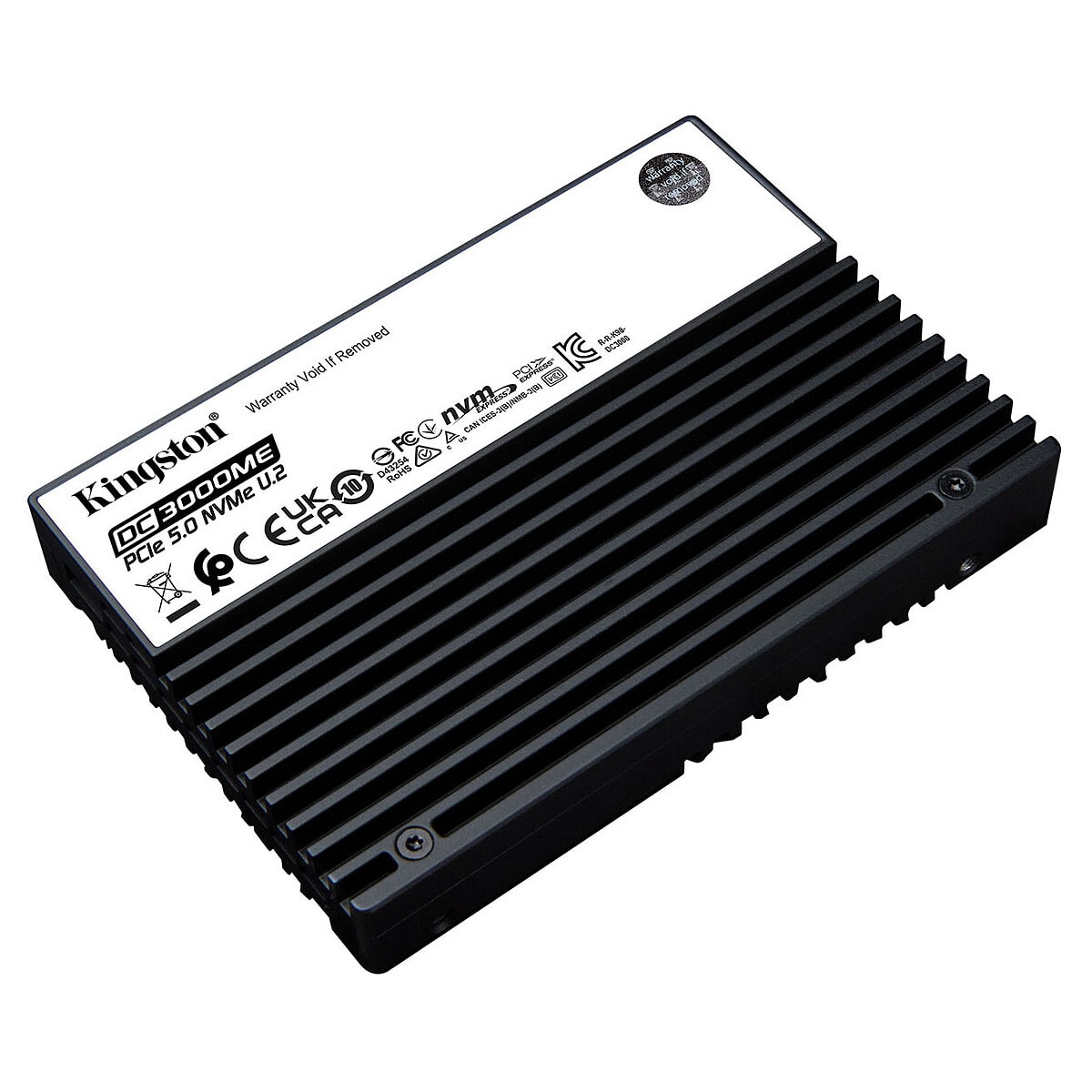 Kingston DC3000ME 3.84 To (SEDC3000ME/3T8) - Image 1