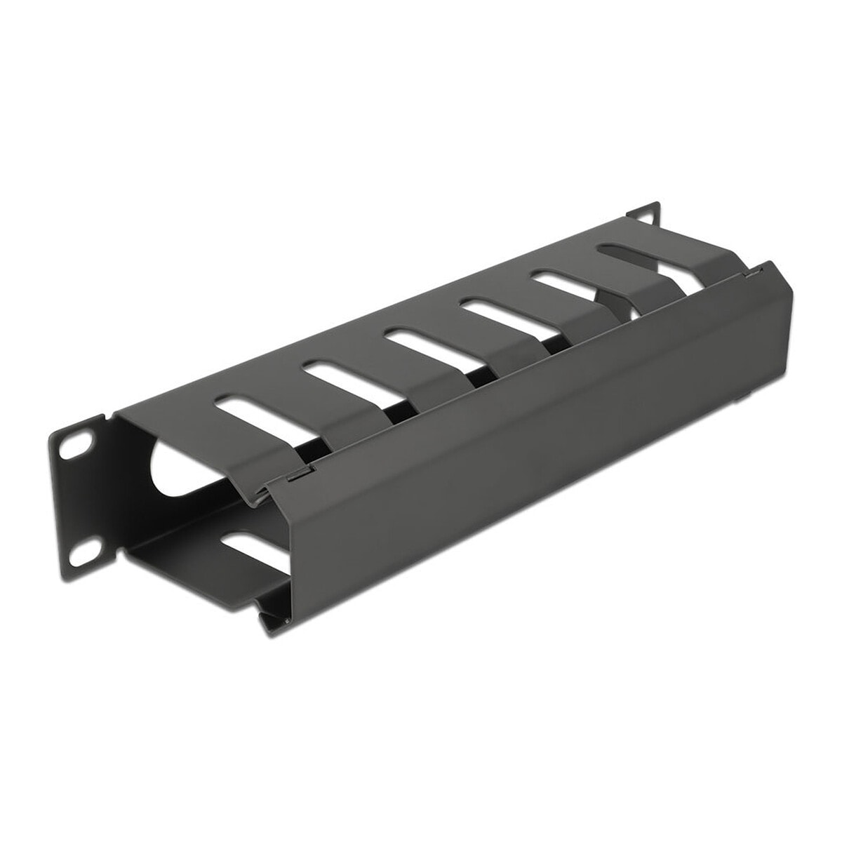 DeLock Goulotte passe-câbles 1U pour armoire réseau 10" - Image 1