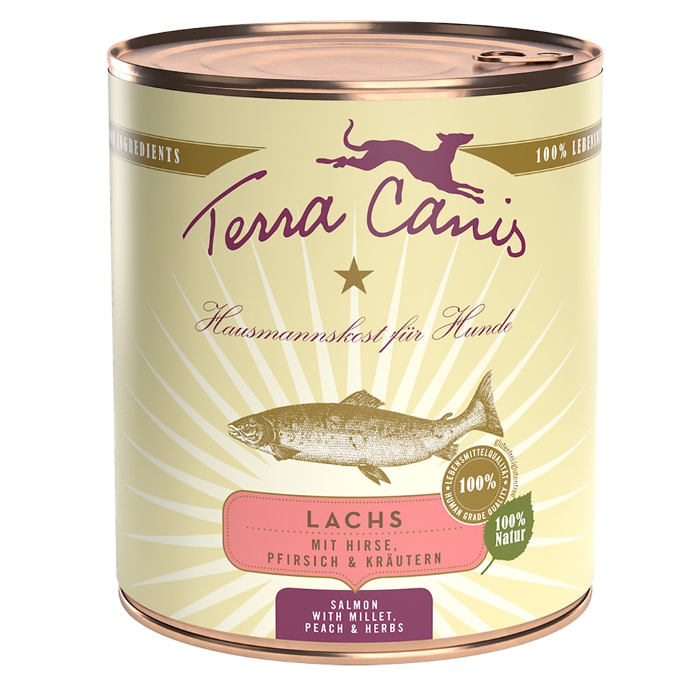 Terra Canis 6 x 800 g - Salmón con mijo, melocotón y hierbas aromáticas - Image 1