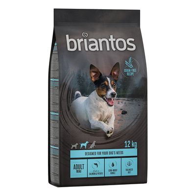 Briantos Adult Mini Salmón y patata - SIN CEREALES - Image 1