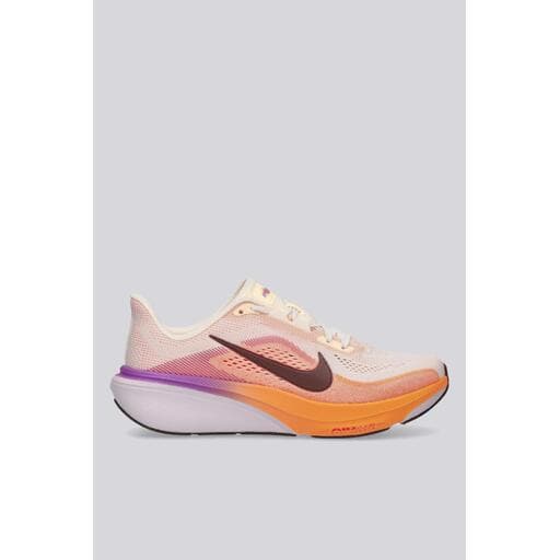 Nike Pegasus 42
