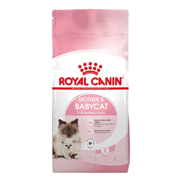 Royal Canin - Pienso para gatas gestantes, lactantes y gatitos Royal Canin 2 kg. - Image 1