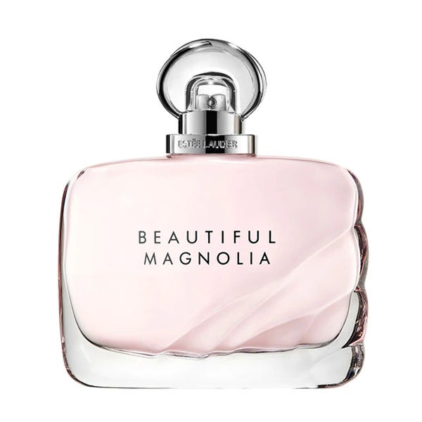 Beautiful Magnolia - Image 1